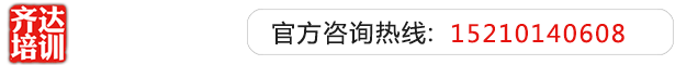 大鸡巴猛操骚逼骚穴黄片齐达艺考文化课-艺术生文化课,艺术类文化课,艺考生文化课logo